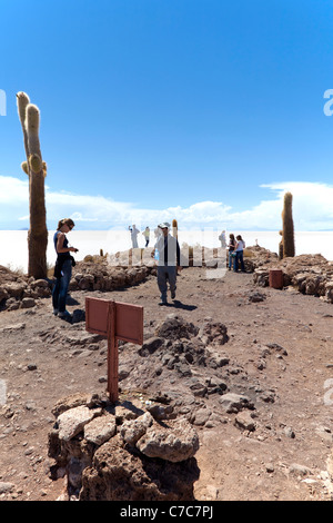 I turisti a Isla Incahuasi, Uyuni Saline, Bolivia Foto Stock