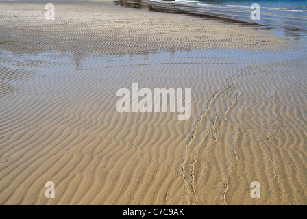 Ripples in sabbia bagnata causato dalla marea in uscita, firenze bay, Magnetic Island, Queensland, Australia Foto Stock