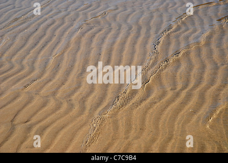 Ripples in sabbia bagnata causato dalla marea in uscita, firenze bay, Magnetic Island, Queensland, Australia Foto Stock