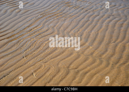 Ripples in sabbia bagnata causato dalla marea in uscita, firenze bay, Magnetic Island, Queensland, Australia Foto Stock