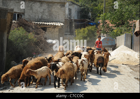 Il siriano profughi in Turchia., Guvecci's Village. Foto Stock