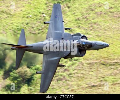 RAF Harrier GR9 attack jet fighter aircraft basso livello nel Galles del nord (mach loop)girato dal lato della collina Foto Stock