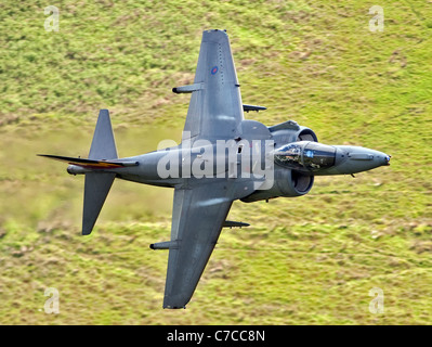 RAF Harrier GR9 attack jet fighter aircraft basso livello nel Galles del nord (mach loop)girato dal lato della collina Foto Stock