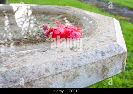 Abstract della pietra bagno d'acqua con galleggiante fiore rosso Foto Stock