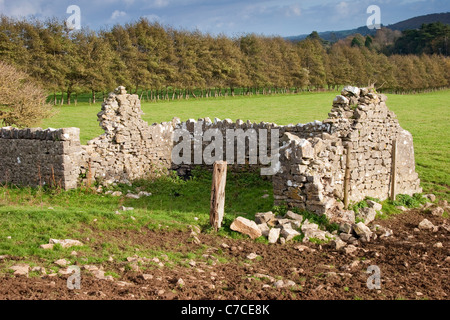 Vecchi ruderi di pietra con alberi e cielo tempestoso Foto Stock