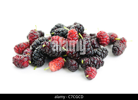 Fresche e mature di bacche di gelso isolati su sfondo bianco Foto Stock