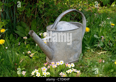 Lo zinco annaffiatoio in giardino percorso. Foto Stock