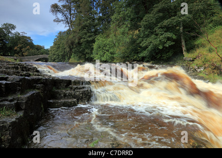 Forza Stainforth cascata in inizio autunno Stainforth Ribblesdale Yorkshire Dales REGNO UNITO Foto Stock