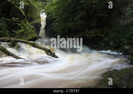 Forza Catrigg cascata in inizio autunno Stainforth Ribblesdale Yorkshire Dales REGNO UNITO Foto Stock