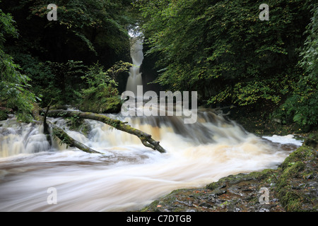 Forza Catrigg cascata in inizio autunno Stainforth Ribblesdale Yorkshire Dales REGNO UNITO Foto Stock