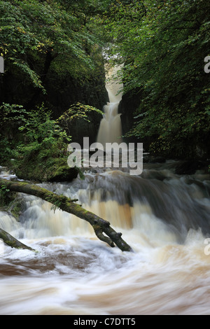 Forza Catrigg cascata in inizio autunno Stainforth Ribblesdale Yorkshire Dales REGNO UNITO Foto Stock