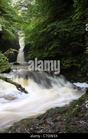 Forza Catrigg cascata in inizio autunno Stainforth Ribblesdale Yorkshire Dales REGNO UNITO Foto Stock