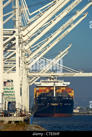 Gru e freighter caricato con i contenitori a porta di Oakland Foto Stock