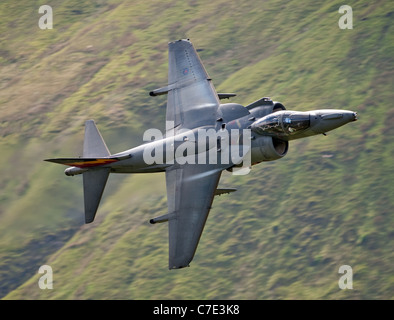 RAF Harrier GR9 attack jet fighter aircraft basso livello nel Galles del nord (mach loop) girato dal lato della collina Foto Stock