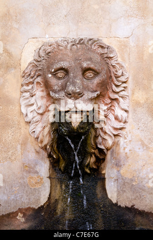 Lion scultura in pietra fontana nel Figlio Marroig a Deia Mallorca Foto Stock