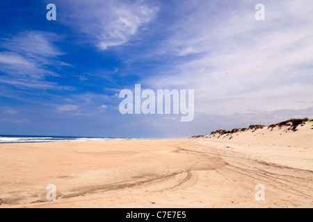 Lunga spiaggia di sabbia con dune - Praia de Mira - Costa occidentale, Portogallo Foto Stock