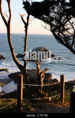 Seal Rocks, Lands End Trail, Lincoln Park - Lobos, San Francisco, California, Stati Uniti d'America Foto Stock