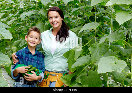 La donna e suo figlio con il raccolto di cetrioli di serra Foto Stock