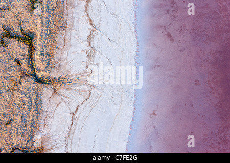 La bassa altitudine foto aeree della linea di riva del lago Eyre Sud, outback Australia del Sud. Foto Stock