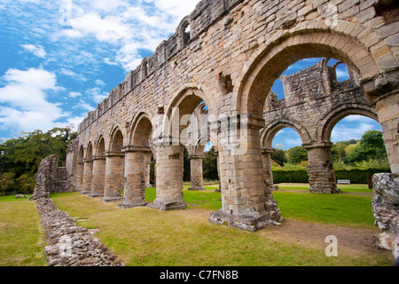 Rovine dell'Abbazia Cistercense a Buildwas nello Shropshire Foto Stock