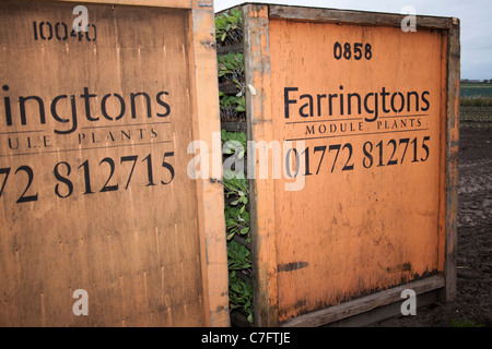 Impianti modulo   Farm contenitore su terreni agricoli, Southport, Merseyside, Regno Unito Foto Stock