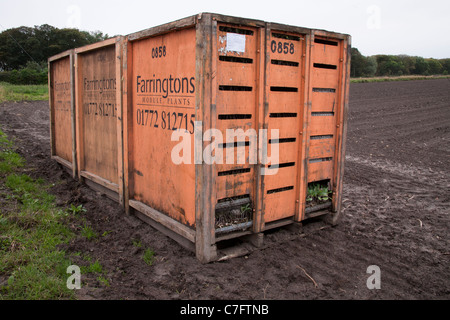 Impianti modulo   Farm contenitore su terreni agricoli, Southport, Merseyside, Regno Unito Foto Stock