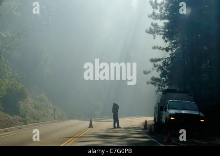 Un uomo con un simbolo di arresto per indirizzare il traffico su una piena di fumo la strada forestale. In California, Stati Uniti d'America. Foto Stock