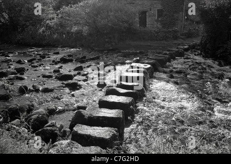 Pietre miliari attraverso il fiume Don a Stainforth, in Ribbledale, Yorkshire Foto Stock