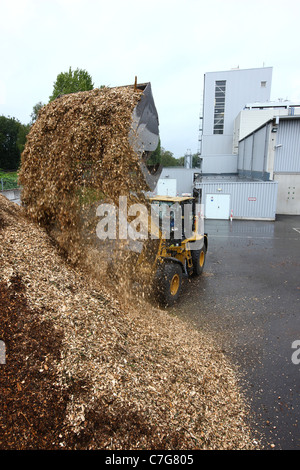 Impianto energetico a biomassa. Brucia rifiuti di legno per riscaldare acqua, per il funzionamento di una turbina a vapore, per generare energia elettrica. Foto Stock