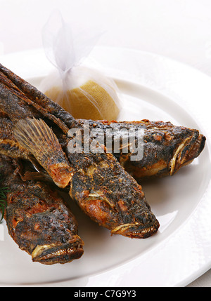 Nero fritto di mare Pesce ghiozzo closeup view Foto Stock