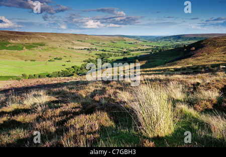 Una veduta di erica e giù Rosedale da dale head Foto Stock