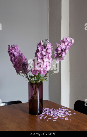 Viola fiori Delphinium morire e perdere i loro petali Foto Stock