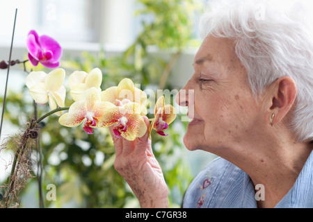 Un senior donna odore di orchidee Foto Stock