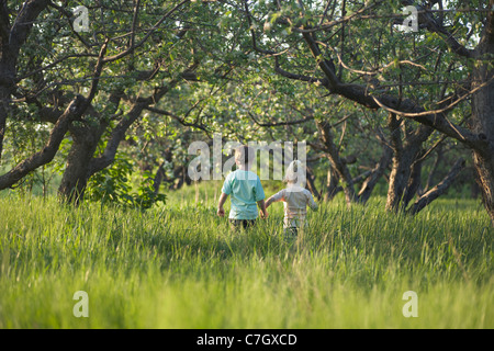 Un fratello e una sorella camminando mano nella mano attraverso un prato Foto Stock