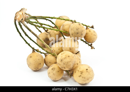 Longkong frutto isolato su uno sfondo bianco. Foto Stock