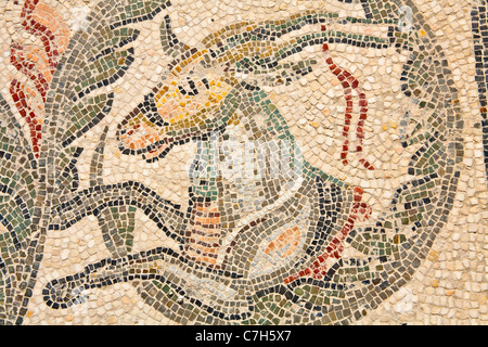 Mosaico di animali al di fuori del triclinio, Villa Romana del Casale di Piazza Armerina, SICILIA, ITALIA Foto Stock