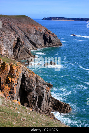 La costa vicino a penalmente cercando di fronte all isola di Caldey, Pembrokeshire, Galles Foto Stock