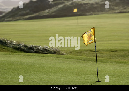 Foro e bandiera sul palo verde su un irlandese del campo da golf links Foto Stock