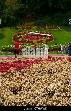 Orologio di fiori giardino vicino al fronte mare Foto Stock