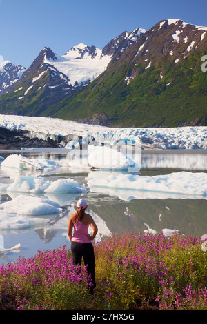 Un escursionista gode dei fiori selvatici lungo il lago di fronte del ghiacciaio Spencer, Chugach National Forest, Alaska. Foto Stock