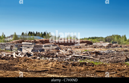 Sawed logs è sceso in una pila per l'asciugatura Foto Stock