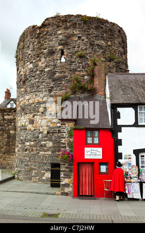 La casa più piccola del mondo a Conwy, il Galles del Nord Foto Stock