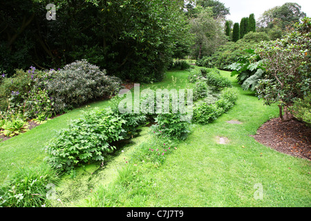 Un ruscello ai giardini del castello di Cholmondeley, Cheshire, Inghilterra, Regno Unito Foto Stock