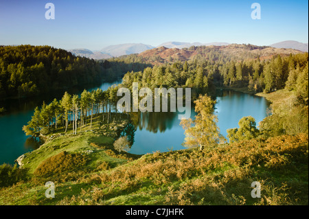 Tarn Hows, Lake District, England, Regno Unito Foto Stock