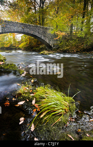 Passerella di pietra su un piccolo fiume in autunno, Lake District, England, Regno Unito Foto Stock
