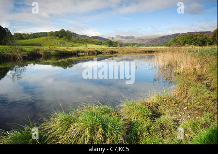 Fiume con Langdale Pikes in distanza, Lake District, England, Regno Unito Foto Stock