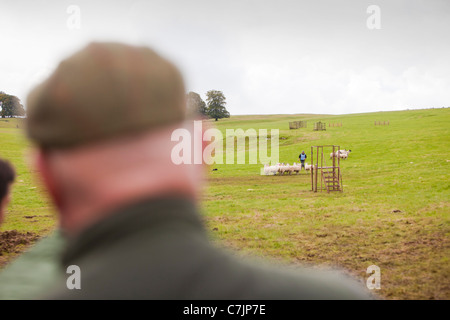 Un pastore concorrente concorrenti a Mondo cane di pecora prove a Lowther, Penrith, Cumbria, Regno Unito. Foto Stock