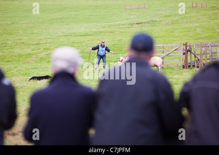 Un pastore concorrente concorrenti a Mondo cane di pecora prove a Lowther, Penrith, Cumbria, Regno Unito. Foto Stock