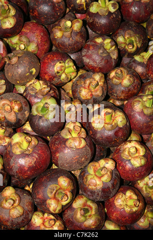 Pile di Mangosteen frutto nel mercato Brastagi, Sumatra Foto Stock