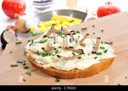 Formaggio a pasta morbida sul pane grattugiato con tartufo estivo Foto Stock